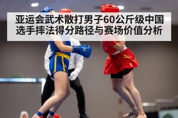 wushu sanda competition